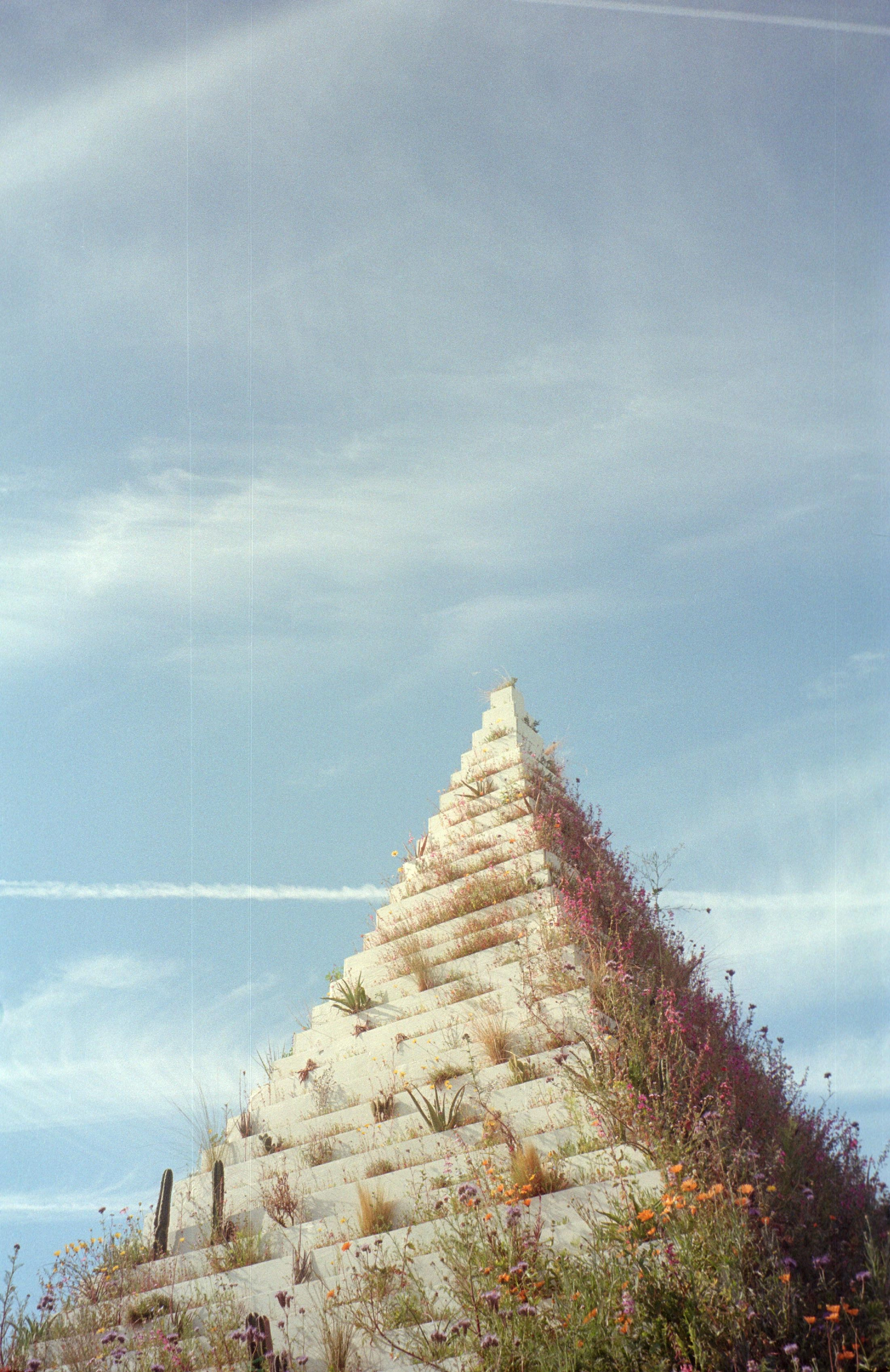 The Living Pyramid - Agnes Denes - Desert X 2025